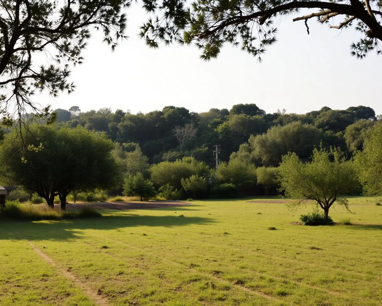Le jardin et les extérieurs d'une villa de prestige